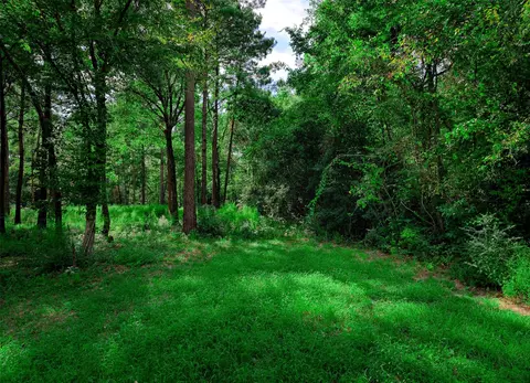 3-15 36 Winchester Rd, Huntsville, TX 77340