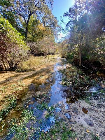 485 Private Road 6142, Grapeland, TX 75844
