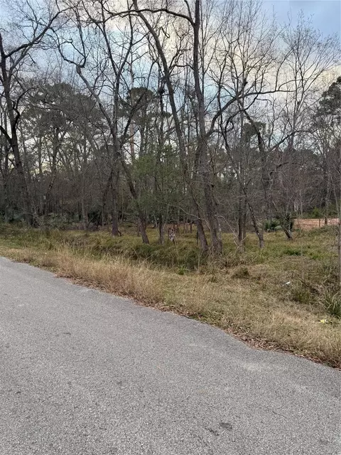 0 Pin Oak Drive Ln, Houston, TX 77336