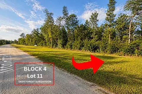 305 Iron Horse Rd, Willis, TX 77378