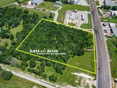 5 6 Acres Highway 19, Trinity, TX 75862