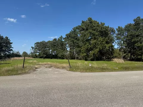 803 Lizzie Ln, Tomball, TX 77375