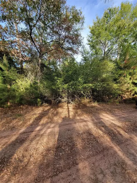 tbd Grey Wolf Dr, Hempstead, TX 77445 photo 5