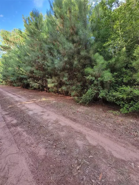 tbd Grey Wolf Dr, Hempstead, TX 77445 photo 6