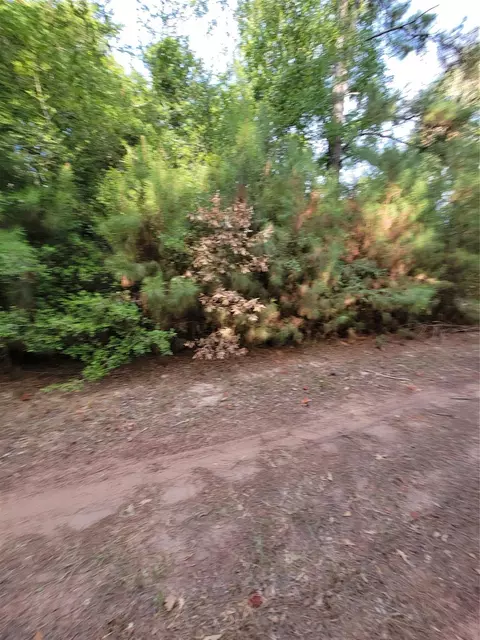 tbd Grey Wolf Dr, Hempstead, TX 77445 photo 4