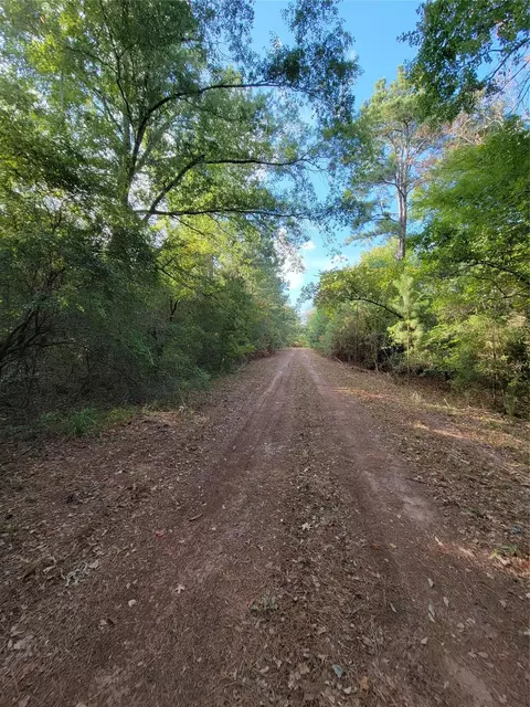 tbd Grey Wolf Dr, Hempstead, TX 77445 photo 3