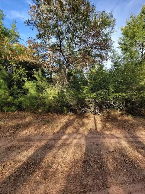 tbd Grey Wolf Dr, Hempstead, TX 77445 photo 7