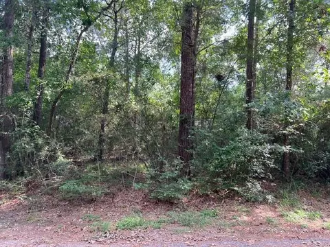 1006 Jefferson River Cir, Conroe, TX 77316