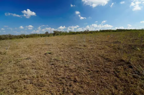 lot12 000 Cr 447, Waelder, TX 78959