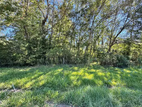 tbd Mehringer Rd, Shepherd, TX 77371 photo 6