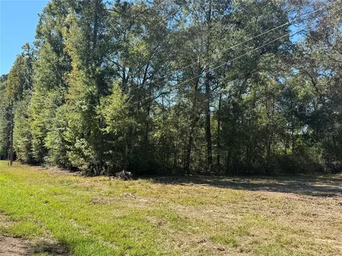 tbd Mehringer Rd, Shepherd, TX 77371 photo 4
