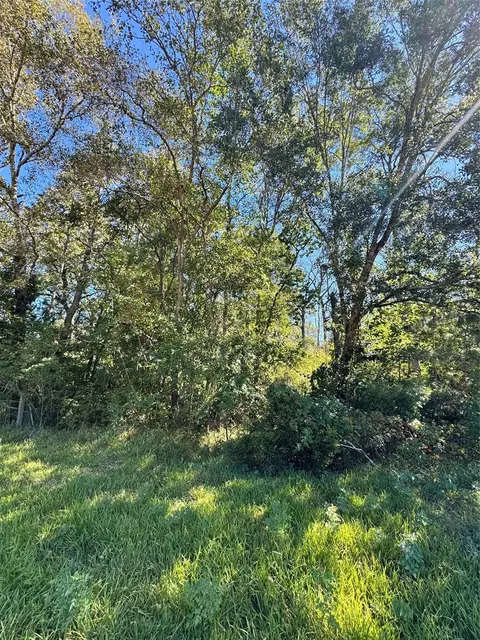 tbd Mehringer Rd, Shepherd, TX 77371 photo 5