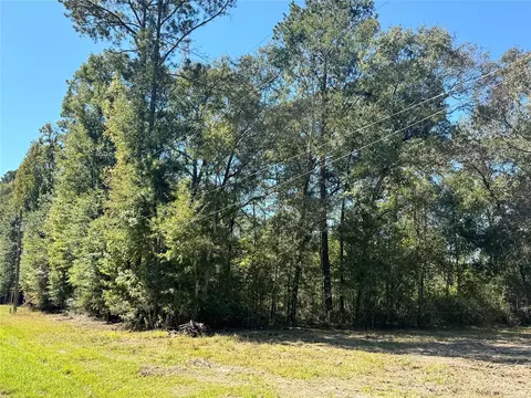 tbd Mehringer Rd, Shepherd, TX 77371 photo 3
