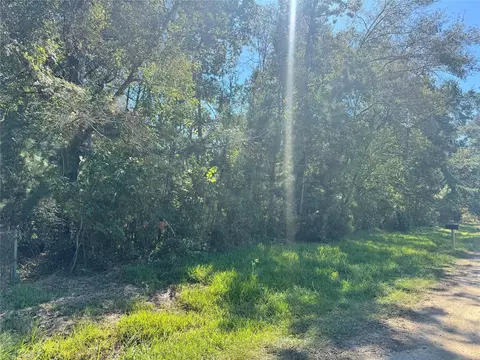 tbd Mehringer Rd, Shepherd, TX 77371 photo 7