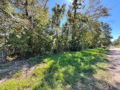tbd Mehringer Rd, Shepherd, TX 77371 photo 9