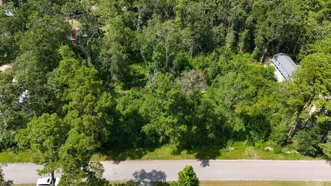21289 Walker Dr, Conroe, TX 77306 photo 3