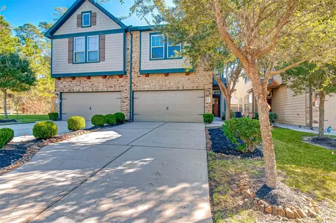 20 Cheswood Manor Ct, The Woodlands, TX 77382