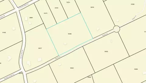 233 Flynn Ln, Trinity, TX 75862
