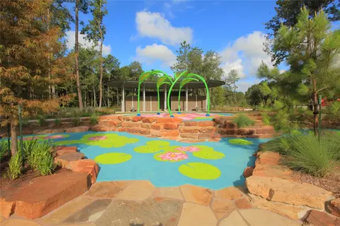 View/Area - 17003 Sweet Iris Ct, Conroe, TX 77302 photo 2 of 10