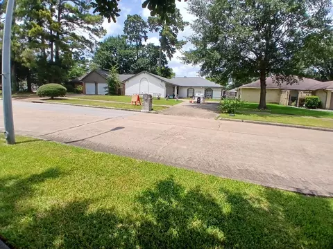 Other - 6303 Coachgate Dr, Spring, TX 77373 photo 3 of 5