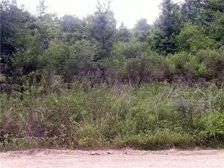 0 County Road 2926, Cleveland, TX 77327