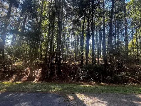 207 Green Tree Dr, Coldspring, TX 77331