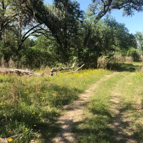 10324 Fm 530, Hallettsville, TX 77964