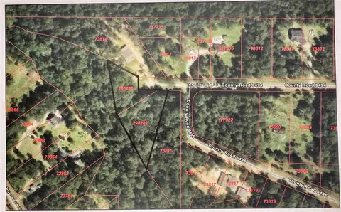 tbd 000 County Road 6496, Dayton, TX 77535
