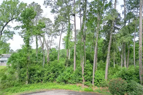 0 Roanoke Dr, Conroe, TX 77302 photo 3