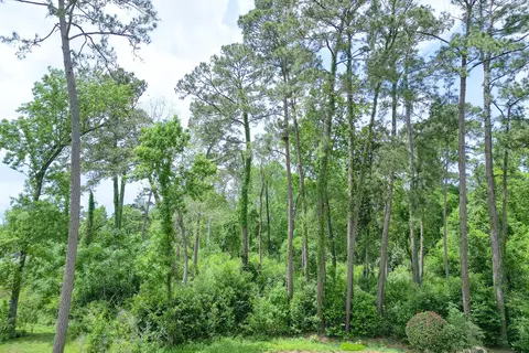 0 Roanoke Dr, Conroe, TX 77302 photo 29