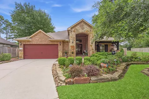 113 Sundrop Ridge Ct, Montgomery, TX 77316