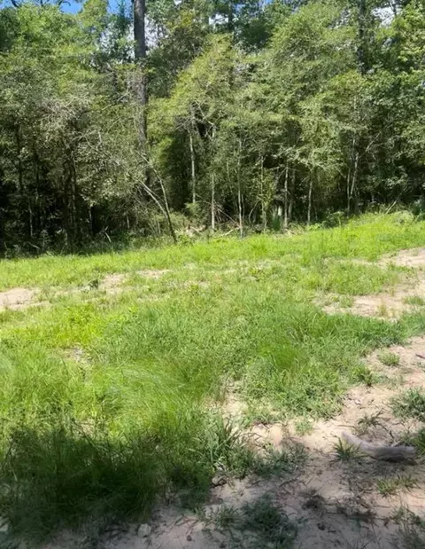 58 Firewood Rd, Huntsville, TX 77340