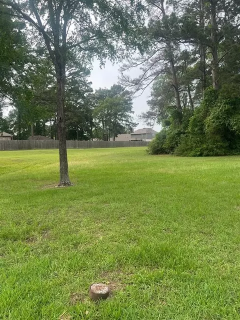 12995 Point Aquarius Blvd, Willis, TX 77318