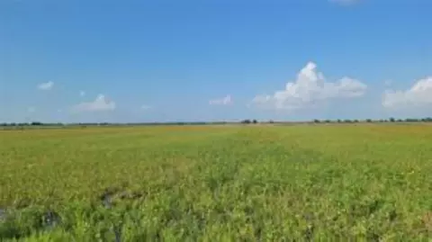 1297 Mcdonald Rd, Eagle Lake, TX 77434