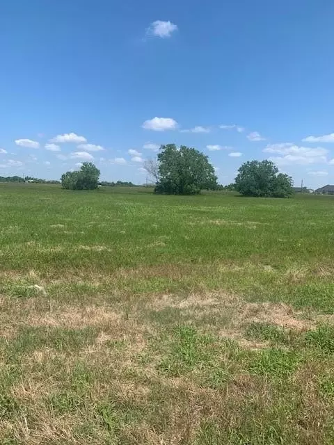 498 Brahman Trl, Angleton, TX 77515 photo 5