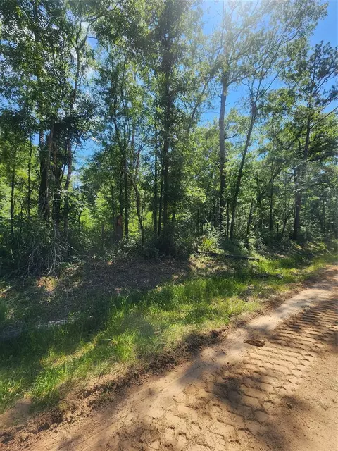 02 Cindy Ln, Shepherd, TX 77371 photo 2