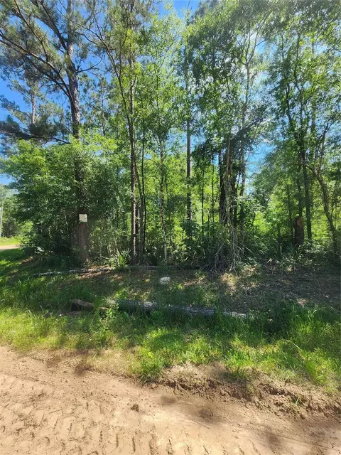 02 Cindy Ln, Shepherd, TX 77371