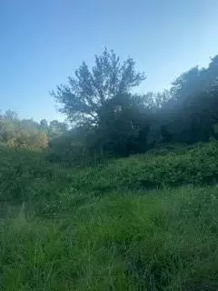 0 NE Belcher Cr 397, Manvel, TX 77578