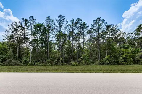 10774 Ruger Rd, Willis, TX 77378 photo 5