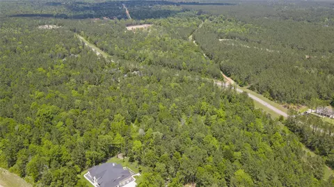 10774 Ruger Rd, Willis, TX 77378 photo 18