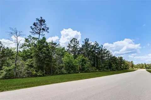 10774 Ruger Rd, Willis, TX 77378 photo 7