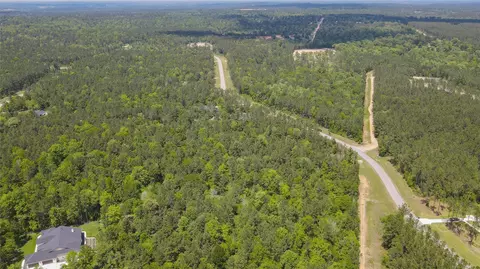 10774 Ruger Rd, Willis, TX 77378 photo 19
