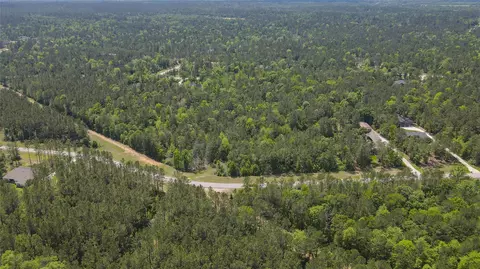 10774 Ruger Rd, Willis, TX 77378 photo 24