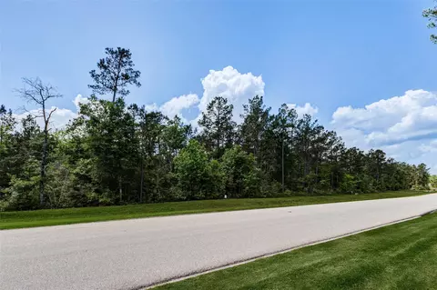 10774 Ruger Rd, Willis, TX 77378 photo 6