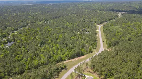 10774 Ruger Rd, Willis, TX 77378 photo 21