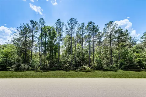 10774 Ruger Rd, Willis, TX 77378 photo 9