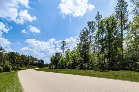 10774 Ruger Rd, Willis, TX 77378 photo 8
