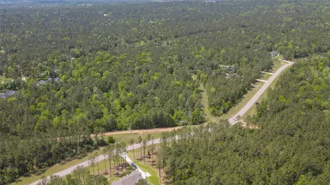 10774 Ruger Rd, Willis, TX 77378 photo 22