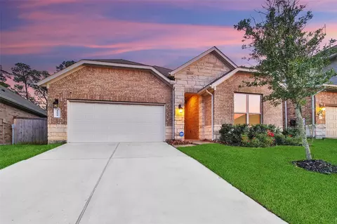1008 Youth Water Rd, Montgomery, TX 77316