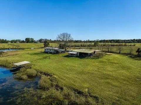 10802 County Road 203, Plantersville, TX 77363